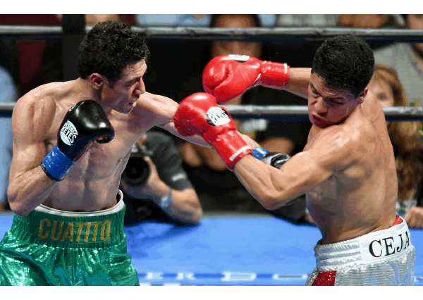 wbc