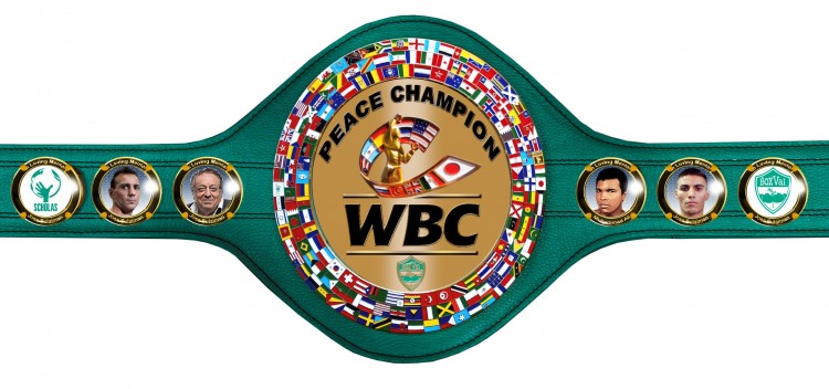 marsili-ffp-belt