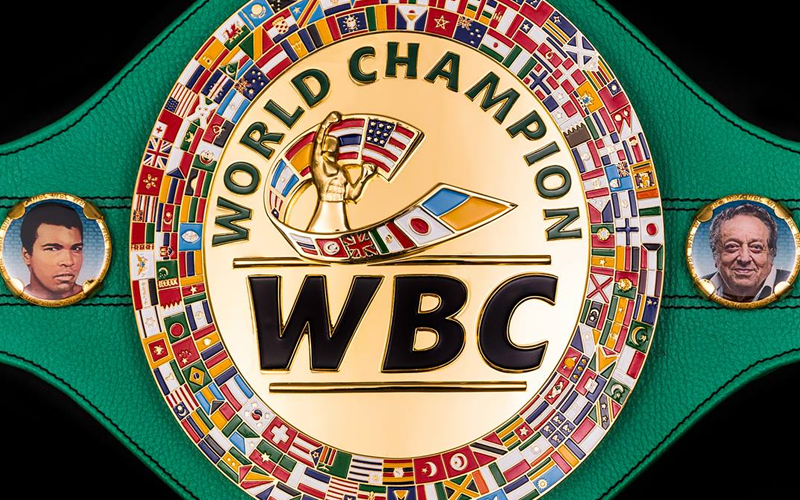WBC QUARTERLY REPORT ABOUT CONVENTION RULING ON EACH DIVISION ...